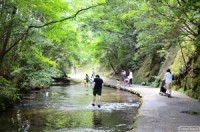 キャンプ場の画像