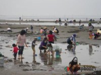 キャンプ場の画像